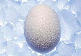冷冻卵子和冷冻精子