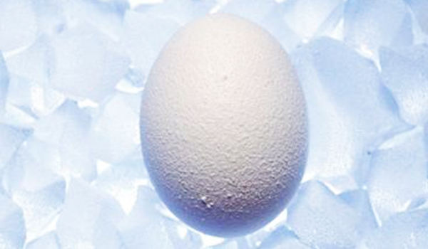 关于冷冻卵子