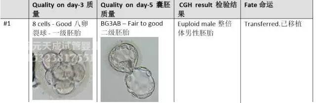 第三代鲜胚植入，一次赴泰接儿回家!