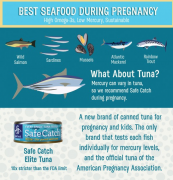 试管婴儿移植成功后，在怀孕期间吃哪些海鲜好 