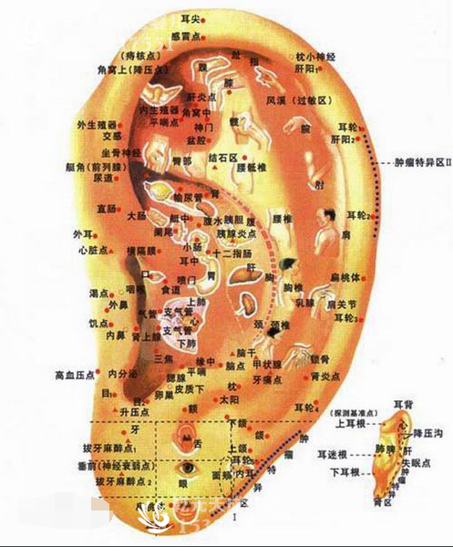 做试管婴儿移植后难眠,可尝试理疗放松心情助成功